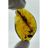 AN EXCEPTIONALLY RARE FOSSILISED DINOSAUR FEATHER IN AMBER, 5.175gms Found in the Cretaceous