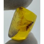 A WINGED INSECT IN AMBER, From Chiapas, Mexico. Circa 23-28 million years old.
