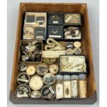 A COLLECTION OF FOSSILS AND MARINE NATURAL HISTORY EX MUSEUM, to include crude issinglass and many