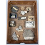 A RARE COLLECTION OF FOSSILS EX MUSEUM, to include a fossil roach presented by G.J. Gumersall Esq,