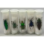A COLLECTION OF FIVE TAXIDERMY BEETLES IN OLD MUSEUM VIALS
