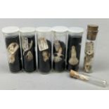 A COLLECTION OF SMALL ANIMAL SKULLS IN OLD MUSEUM VIALS, including the skull of a green lizard (7)
