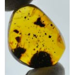 A MOVEABLE WATER BUBBLE IN AMBER, From Chiapas, Mexico circa 23-28 million years old