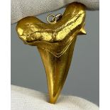 A GOLD PLATED OTODUS OBLIQUUS SHARK TOOTH PENDANT for a necklace