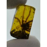 A LARGE FOSSIL SPIDER IN DINOSAUR AGE BURMESE AMBER, A Large and rare Spider from the amber mines of