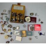 A LARGE COLLECTION OF BROOCHES AND SOME 925 SILVER RINGS (Qty)