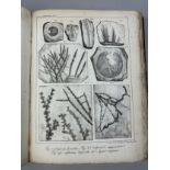 ADOLPHE BRONGNIART (1828-1837): HISTOIRE DES VEGETAUX FOSSILES, Two volumes in one book. Complete as