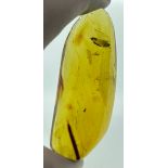 A VERY LARGE FOSSIL AMBER GEMSTONE, Very large amber gemstone freeform with a detailed folded