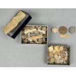A LARGE COLLECTION OF NUMMULITES PERFORATUS, upper Eocene. Ex museum collection