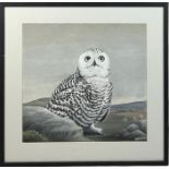 JOHN FRANK HAYWOOD 1936-1991 GOACHE AND WATERCOLOUR PAINTING OF A SNOWY OWL, Mounted in a frame