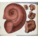 JAMES SOWERBY (1757-1822) 'MINERAL CONCHOLOGY' VOL 1-4 COMPLETE, 1812-1823. An exceptionally rare