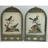 A PAIR OF DECORATIVE WALL HANGING ENGRAVINGS OF BIRDS, mounted in caged glass display cases, hand