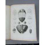 HERMANN BURMEISTER (1807-1892) 'THE ORGANISATION OF TRILOBITES', Six large lithographic plates.