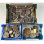 THREE TRAYS OF FOSSILS, to include ammonites, coral, pudding stone, cast trilobites and more (Qty)