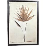 MADELEINE AND ROBERT LONGSTREET BOTANICAL LITHOGRAPH ON PAPER OF A SAW PALMETTO, Signed by both