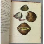 A COLLECTION OF BOOKS ON FOSSILS AND SHELLS (4) William Turton (1762-1835) Conchological Directory