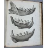 WILLIAM BUCKLAND (1784-1856) 'RELIQUIAE DILUVIANAE', 1824. Second edition, 27 plates some hand