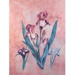 A LARGE AND DECORATIVE PINK FLORAL PRINT, mounted in a frame and glazed.