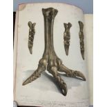 GIDEON MANTELL (1790-1852) 'PICTORIAL ATLAS OF FOSSIL REMAINS' 1850, Tooled leather book, 74 hand