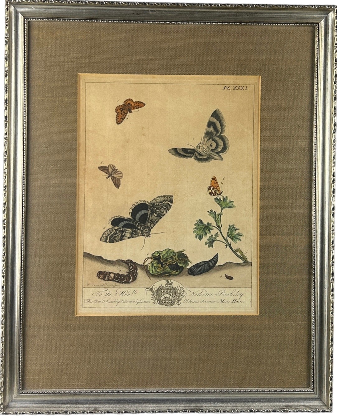 MOSES HARRIS (1730-1787), A set four hand coloured engraved plates of butterflies from ‘The Aurelian - Image 9 of 11