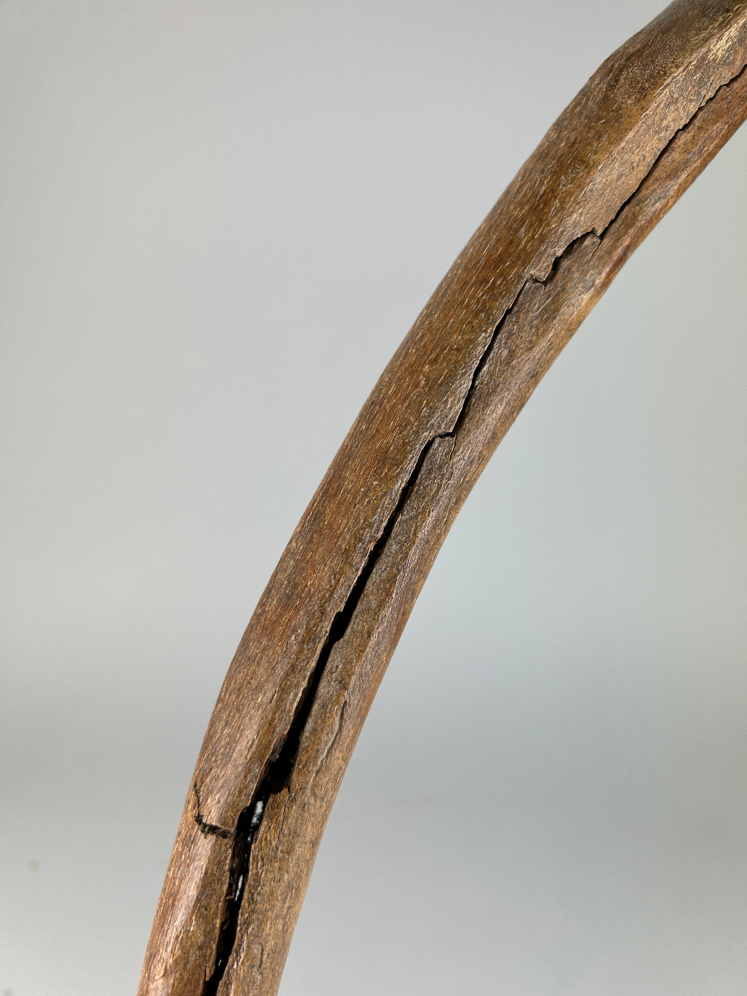 A WOOLLY MAMMOTH RIB BONE, Dredged up by fishermen in the North Sea. Pleistocene circa 40,000 - Image 2 of 4