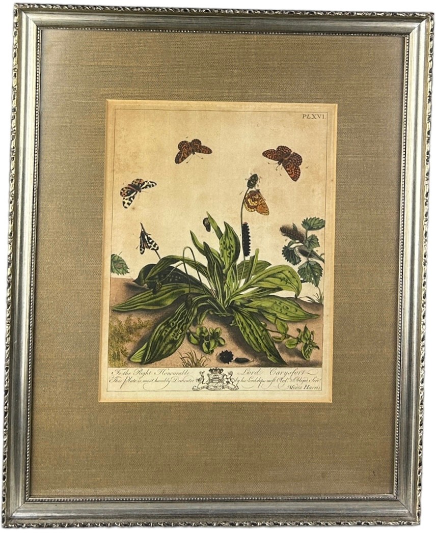 MOSES HARRIS (1730-1787), A set four hand coloured engraved plates of butterflies from ‘The Aurelian - Image 11 of 11