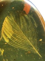 A VERY RARE DINOSAUR FEATHER FOSSIL IN BURMESE AMBER, An extremely scarce complete feather in
