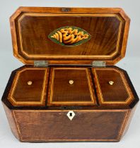 A SHERATON DESIGN TEA CADDY WITH MARQUETRY INLAID SHELL TO TOP AND INTERIOR, The lid rising to
