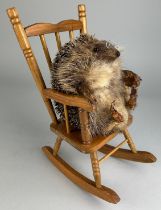AN ANTHROPOMORPHIC TAXIDERMY HEDGEHOG SITTING IN A ROCKING CHAIR, 30.5cm h x 18cm w