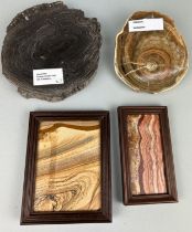 A COLLECTION OF FOSSILISED PICTURE STONES, to include wood from Sheppey and oak stone from