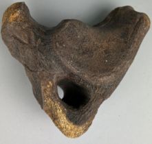 A LARGE EXTINCT MAMMAL PELVIC BONE, Red Crag, Walton on Naze.