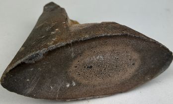 A LARGE AND RARE PLIOSAUR BONE, Polished end showing blood vessels. From Abingdon, Oxfordshire.