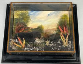 A TAXIDERMY CASED DIORAMA BY TONY ARMISTEAD DEPICTING TWO MOLES IN A COUNTRY LANDSCAPE, 32cm h x