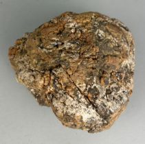 A DINOSAUR ‘COPROLITE’ OR FOSSIL POO FROM UTAH A very large dinosaur coprolite or ‘fossil poo’