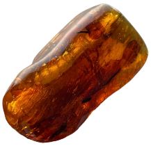 A LARGE FREESTANDING AMBER GEM WITH LEAF FOSSIL This sizeable piece of amber is freestanding and