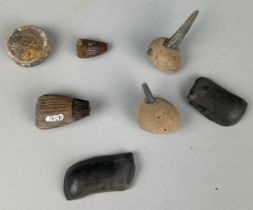 A COLLECTION OF BRITISH FOSSIL TEETH (7)