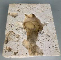 A CRAB FOSSIL PRESERVED IN TRAVERTINE, 13cm x 11cm A very unusual cut travertine slab containing a