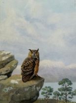 BRUCE HENRY (BRITISH B.1918) EUROPEAN EAGLE OWL, Signed 'Bruce Henry', dated 1984. Pencil and