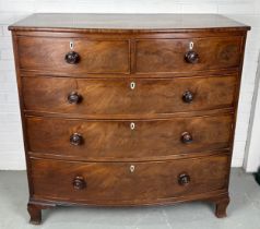 A LARGE VICTORIAN MAHOGANY BOW FRONT CHEST OF DRAWERS, Ivory Act Exemption Reference 4EBQV5TN