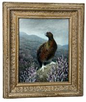 AN OIL ON BOARD PAINTING OF A GROUSE IN THE HIGHLANDS, Mounted in a limed and gilt frame.