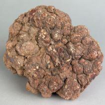 A LARGE DINOSAUR ‘COPROLITE’ OR FOSSIL POO FROM UTAH, 15cm x 10cm A very large dinosaur coprolite or