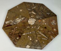 A MOROCCAN TABLE TOP CONTAINING GONIATITES AND ORTHOCERAS, 46cm x 46cm