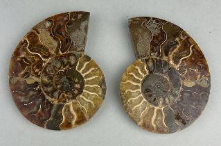 CUT AND POLISHED AMMONITE FOSSIL PAIR A decorative ammonite fossil from Madagascar, cut and polished