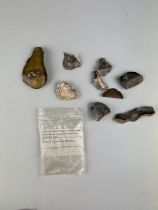 A COLLECTION OF PALAEOLITHIC WORKED FLINTS, including one with label 'Palaeolithic implement, Milton