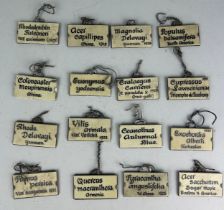 A COLLECTION OF 1920's ZINC AND CERAMIC COUNTRY HOUSE HORTICULURAL FLOWER BED PLANT LABELS (16) To