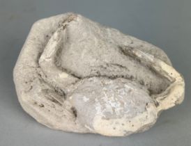 A LARGE FOSSIL CRAB, Eocene with carapace and both front claws. 15cm x 10cm x 8cm