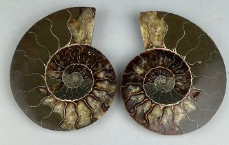 A CUT AND POLISHED AMMONITE FOSSIL PAIR, A large and decorative ammonite fossil from Madagascar, cut