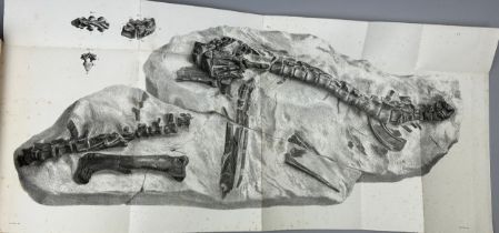 RICHARD OWEN (1804-1892) MONOGRAPH OF THE WEALDEN AND PURBECK FORMATIONS, Modern binding. 82