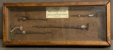 A cased collection of iron nails from the Roman legionary fortress Incrituthil Pertrishire