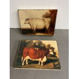 Two small canvas prints of bulls/cows